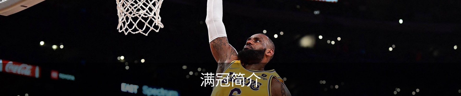 满冠简介
